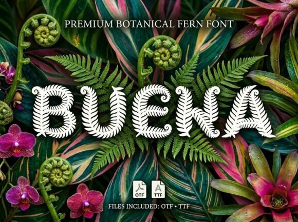 Buena Display Font for Modern Web Design