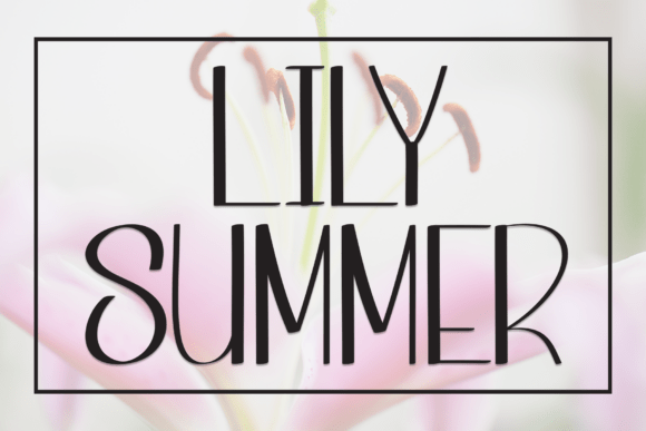 Lily Summer Handwritten Display Typeface